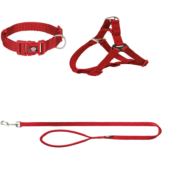 Повод, Нашийник, Нагръдник -  premium lead - Червен